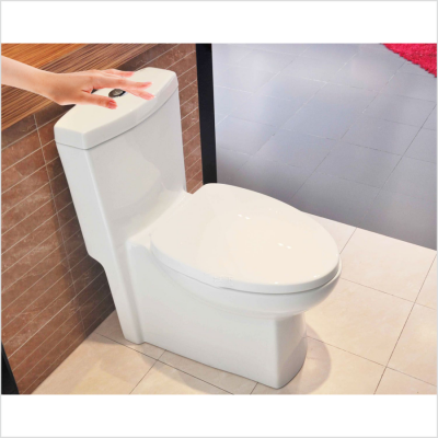 揮動(dòng)式馬桶解決方案